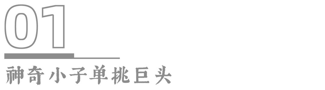 用编程破解冠状病毒？单挑索尼和苹果的天才黑客，又想改变世界了