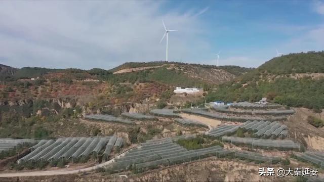 子长市：“大风车”引领绿色新能源产业发展