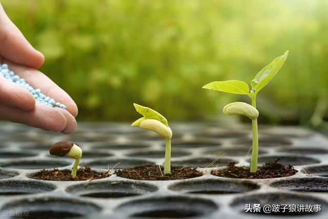 细谈：粗茶淡饭的含义与“粗茶淡饭”的人生