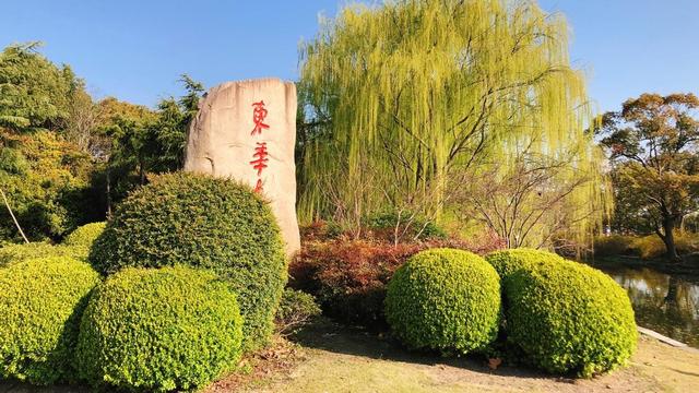 从名校学霸，到美女精英！28岁姑娘从美归国，荣登福布斯，颜值超“女神”！