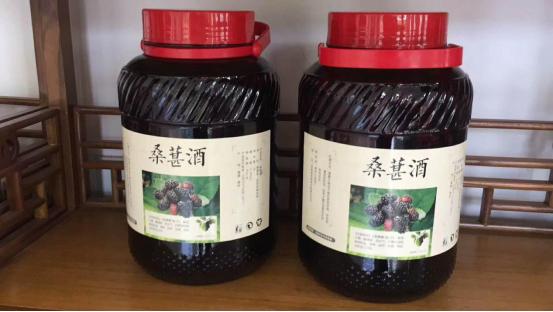 江西省梅子酒过滤机