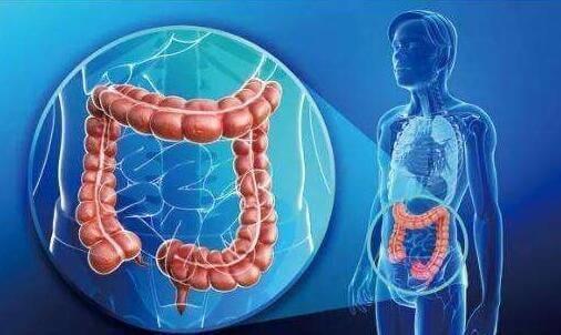 苹果是保护肠胃的冠军，可晚上吃会变成“毒苹果”？给大家说清楚