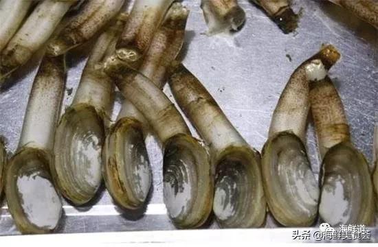 海鲜有什么种类