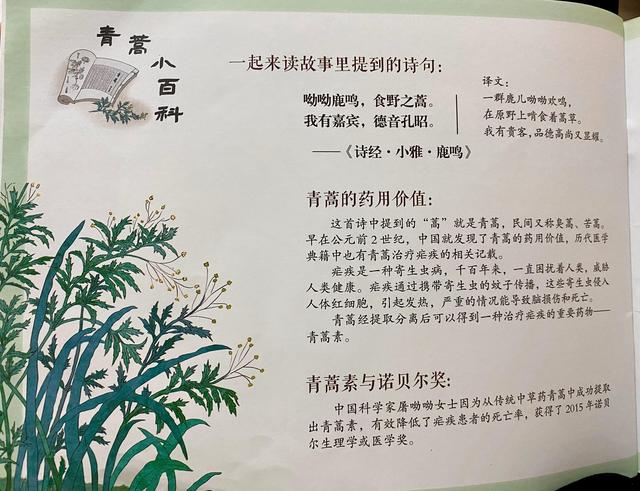 每天一本亲子共读绘本推荐004《仙草青蒿》