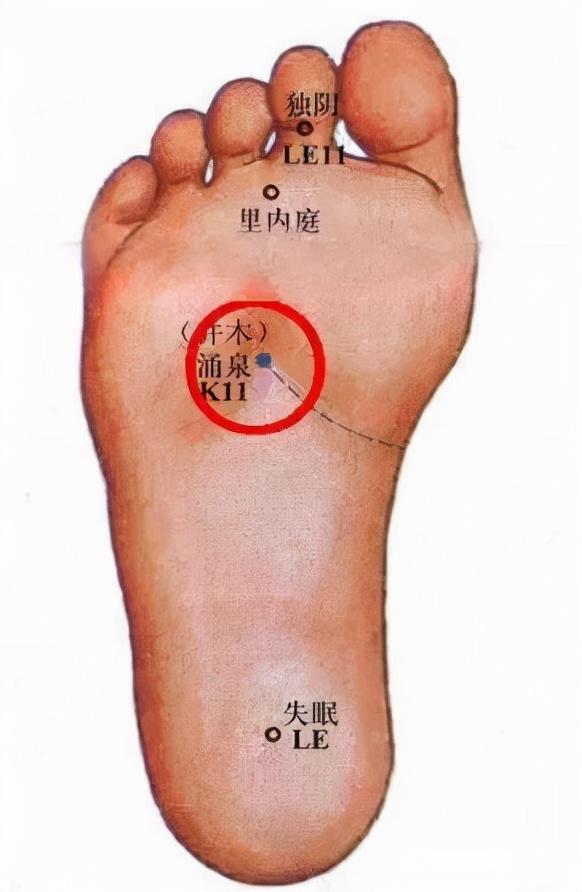 今日小雪丨天愈冷，寒更甚！省名中医教你如何巧妙养生