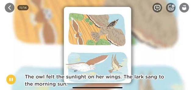 跟孩子一起读绘本：《The  Lark  and  Owl》