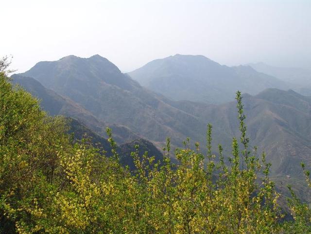 滨州石英砂制砂机厂
