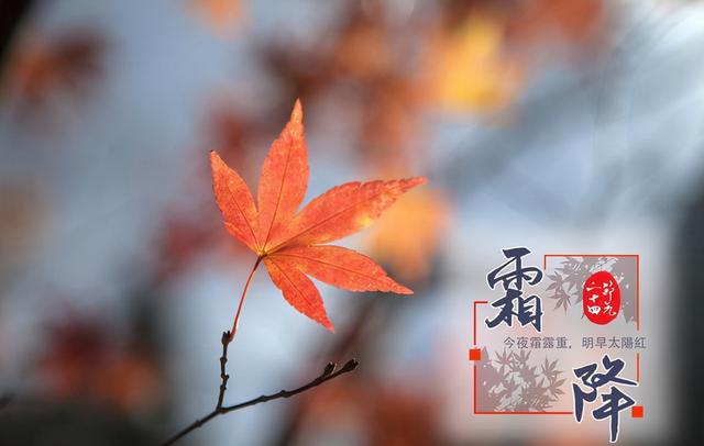 霜降将至，护阳气！吃一宝，喝二水，做三事，秋冬健康少生病