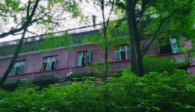 3岁宝宝半夜惊醒，手指向窗外哇哇大哭，次日全家连夜搬走