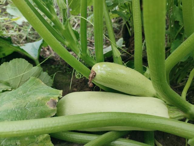 要不要生养孩子？我有看法，请大家评评