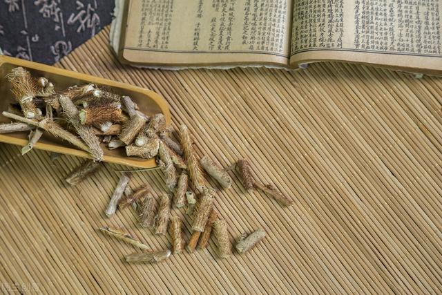 刺五加——一味可补脾、肺、肾、心的药食同源中药，不来了解下吗