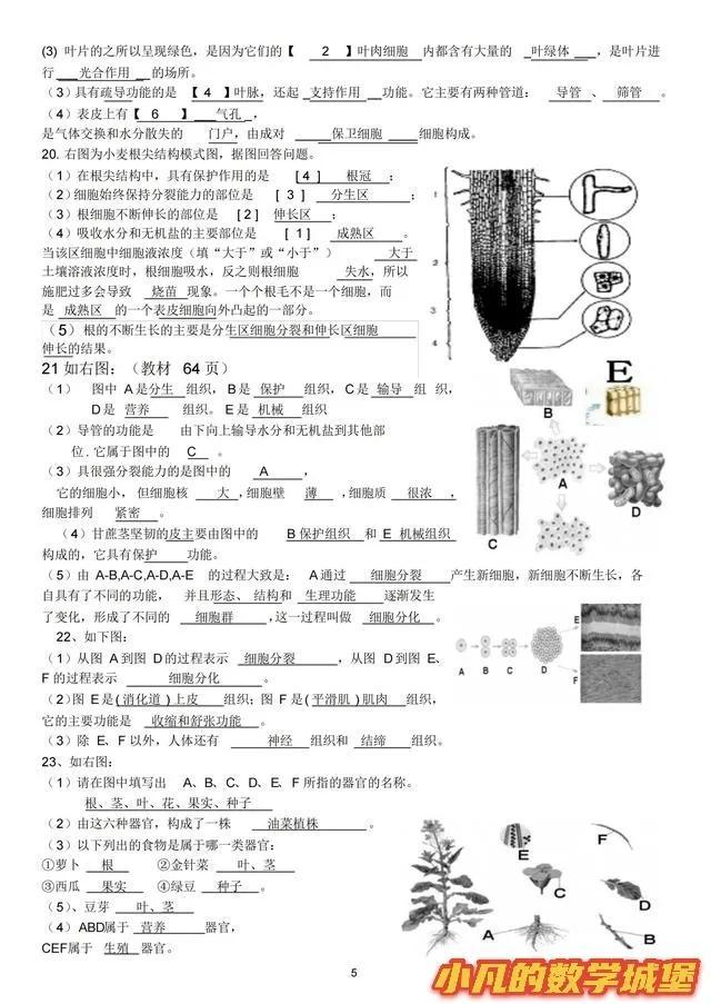 新初一历史地理生物考点归纳20几页内容史地生知识点全覆盖拿满分