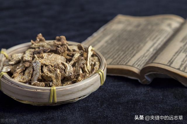 痛风，关节红、肿、热、痛？两味中药，清热燥湿，一味升，一味降