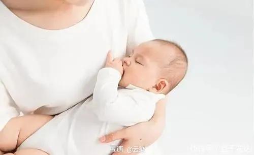 《从出生到独立——写给父母的养育心理学》教你从0开启养儿大业