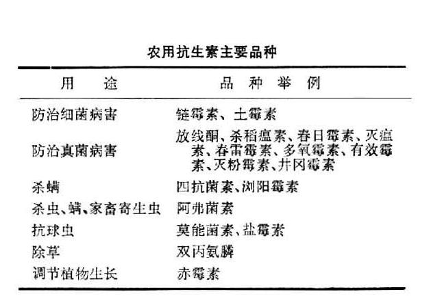 植物细菌性病害的识别与详解，附常见细菌性病害录大全11