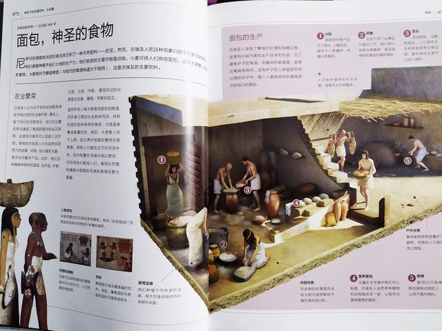 《给孩子的全景百科社会篇》到底有多全