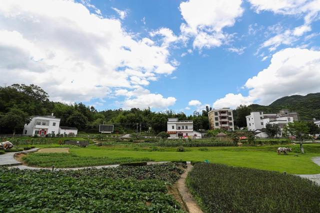深圳连展科技招聘机械工程师