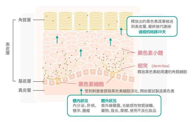 迅速美白的方法