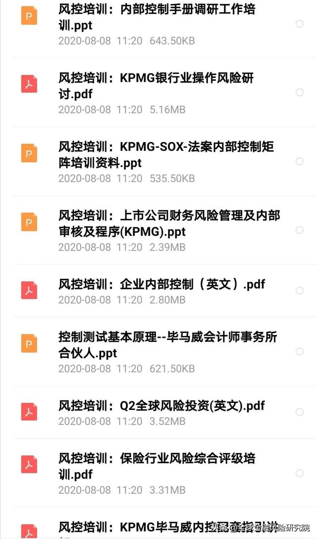 四大頂尖事務所風控培訓資料 Pdf 限時免費領取 Kks資訊網
