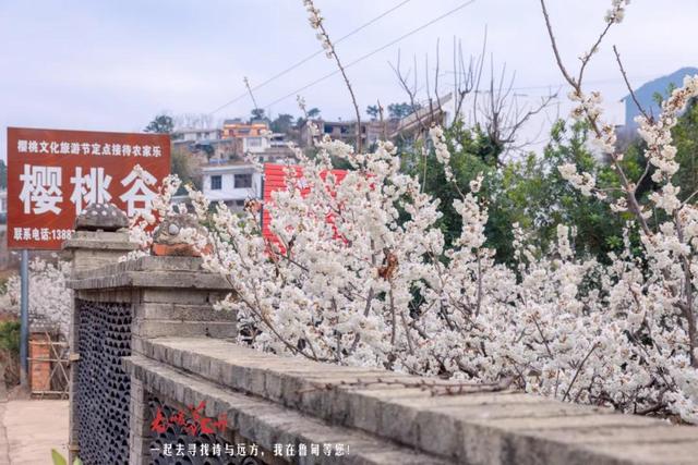 永德新型洗砂机厂商