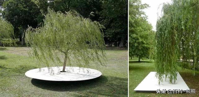 树随便说了几句 对户外运动毫无兴趣的我 却特别喜欢逛公园 全网搜