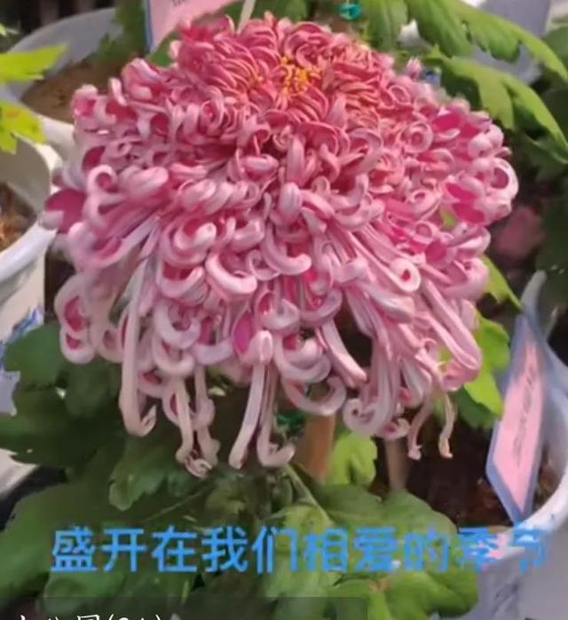 看好口福 更健康