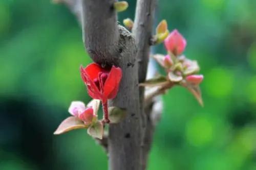 读书破万卷下笔如有神是什么意思？