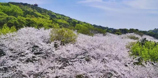 清明假期去哪玩:清明小长假安排上了，这些地方是热门