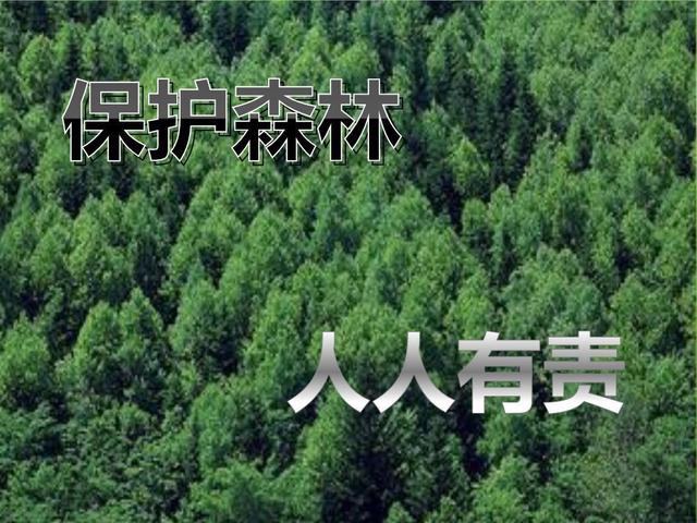 区块链和人工智能是否可以保护森林不再被砍伐？
