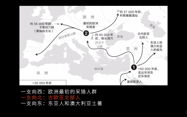 拉萨卧式过滤机