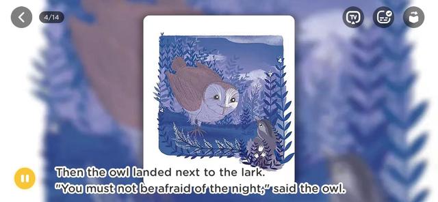 跟孩子一起读绘本：《The  Lark  and  Owl》