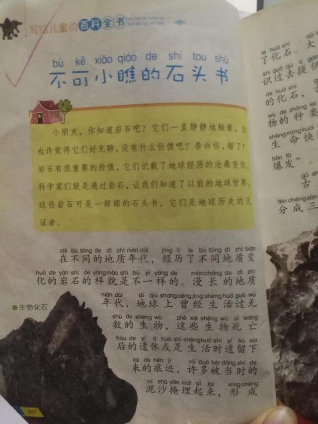 听小儿分享不可小瞧的石头书化石
