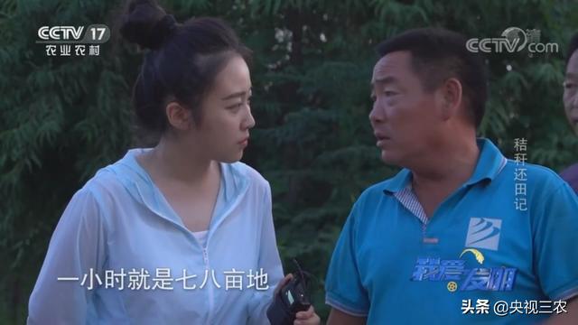 秸秆破碎机效果