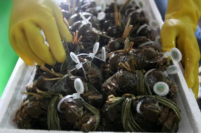 网络“白菜价”，现实卖不动，大闸蟹旺季遇冷？吃货：不交智商税