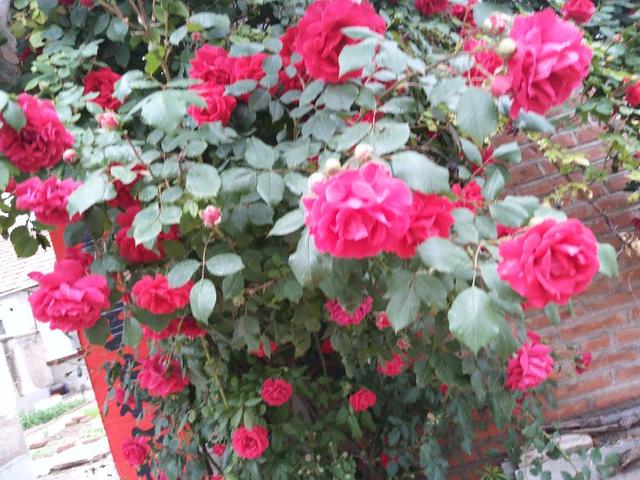 老年人要注意以下三事，对身体健康有好处