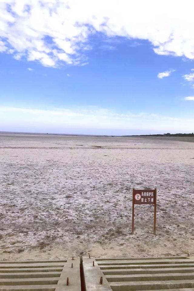 黃海森林公園團建