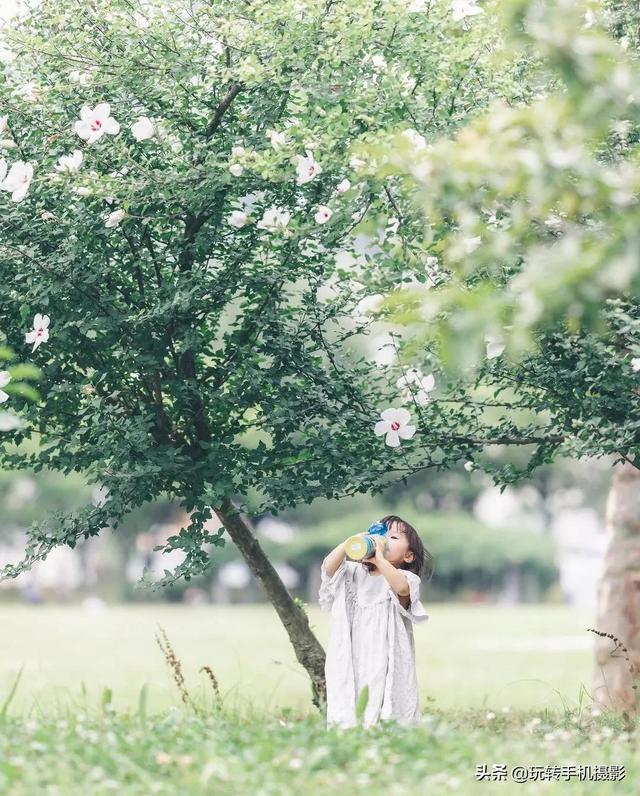 有个会拍照的爸爸，每张照都美如画