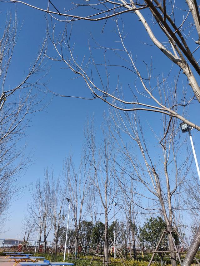 孩子就是孩子的样子