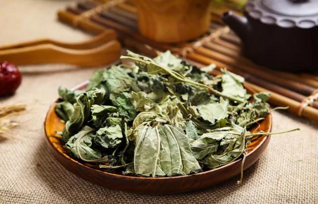 秋季润肺话桑叶