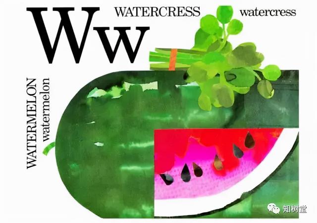 分享3本字母主题的经典英文绘本