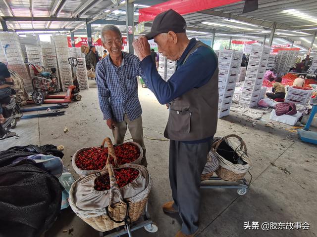 烟台大樱桃早熟品种批量上市，看张格庄市场的收购场景13