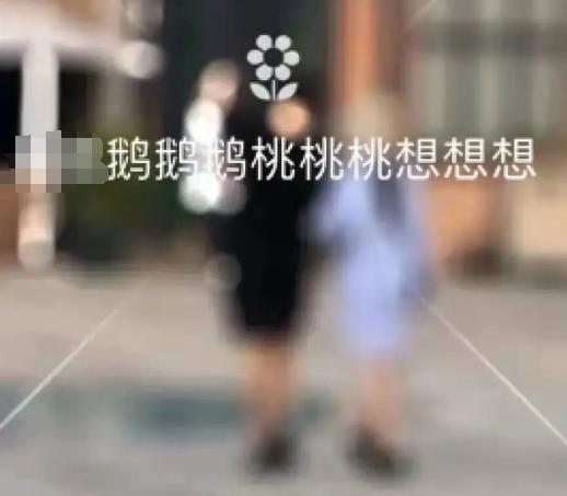 「普及一下」邓伦魏大勋开车(任嘉伦魏大勋什么综艺节目)