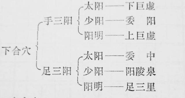 特定穴之……下合穴