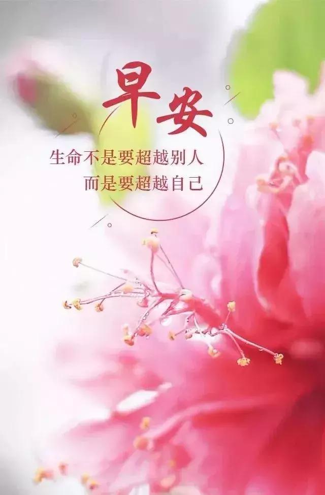 有一无二的经典话，没有等出来的一手遮天，只有拼出来的万人之上