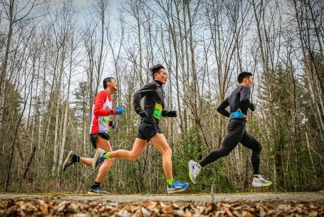 熊猫血型是什么血型（不同血型各自有什么区别和特点）