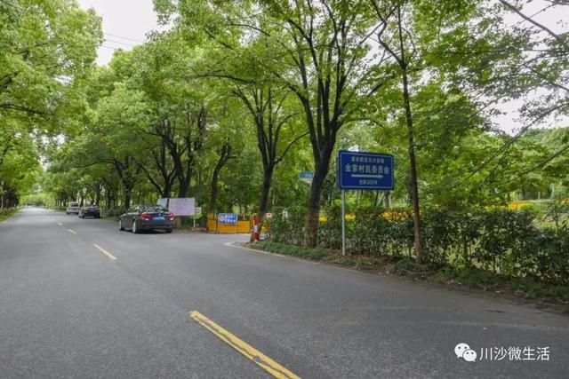 川沙川展路上的工程