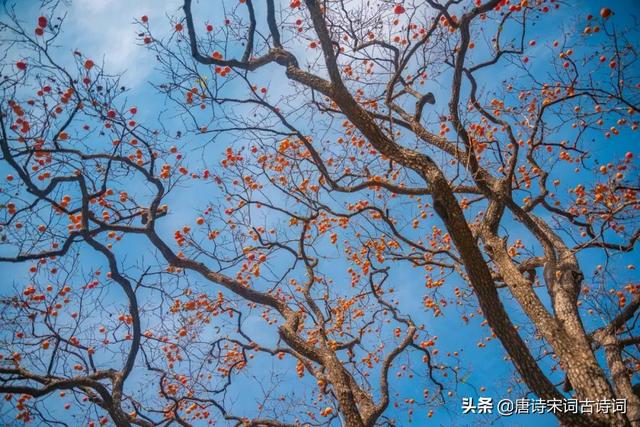 宋词里的秋天，惹人醉也惹人泪