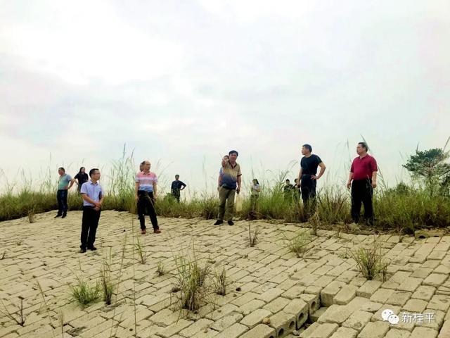 什么是尾矿库浸润线
