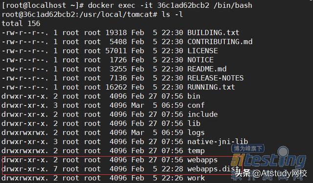 教你测试开发丨测试小白也能听懂的Docker讲解和应用