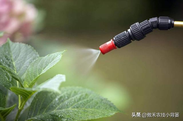 植物生长调节剂种类多、差异大，农民要学会挑选和使用的正确方法3